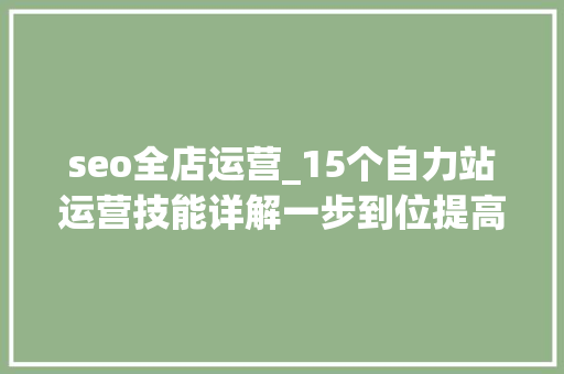 seo全店运营_15个自力站运营技能详解一步到位提高订单转化率 seo全店运营_15个自力站运营技能详解一步到位提高订单转化率 必应SEO