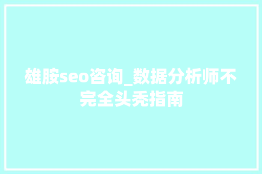 雄胺seo咨询_数据分析师不完全头秃指南