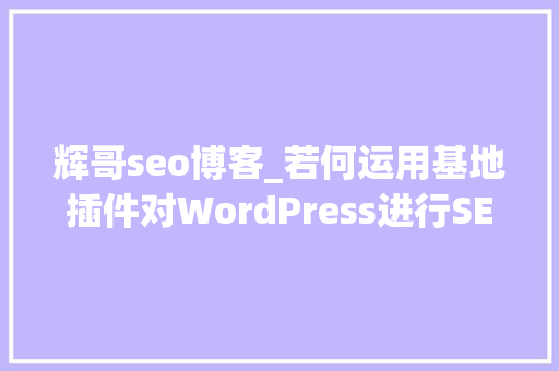 辉哥seo博客_若何运用基地插件对WordPress进行SEO优化
