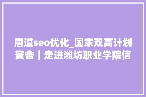 唐道seo优化_国家双高计划黉舍｜走进潍坊职业学院信息工程学院