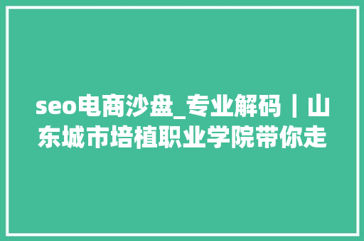 seo电商沙盘_专业解码｜山东城市培植职业学院带你走进电子商务专业
