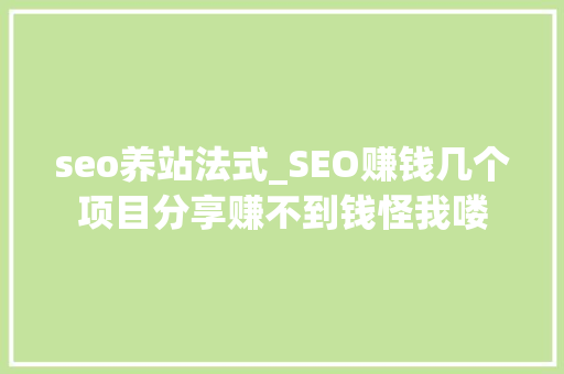 seo养站法式_SEO赚钱几个项目分享赚不到钱怪我喽