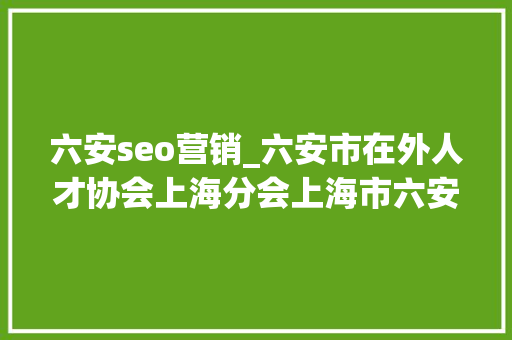 六安seo营销_六安市在外人才协会上海分会上海市六安商会走进彼亿营销