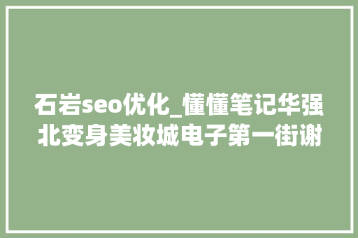 石岩seo优化_懂懂笔记华强北变身美妆城电子第一街谢幕