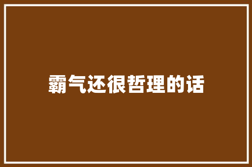 可思seo团队_野牛王大年夜模型营销猜测平台引领企业营销新时代