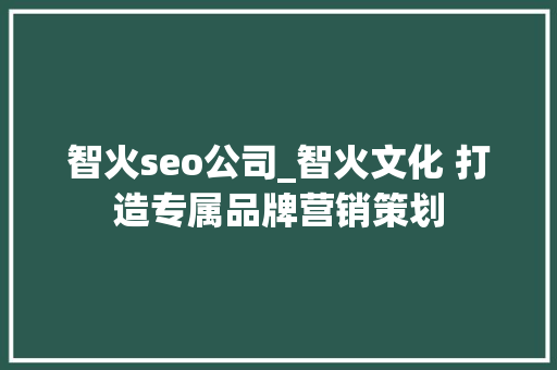 智火seo公司_智火文化 打造专属品牌营销策划