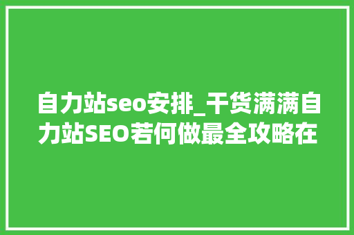 自力站seo安排_干货满满自力站SEO若何做最全攻略在这里 自力站seo安排_干货满满自力站SEO若何做最全攻略在这里 百度SEO