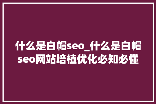 什么是白帽seo_什么是白帽seo网站培植优化必知必懂术语 什么是白帽seo_什么是白帽seo网站培植优化必知必懂术语 必应SEO