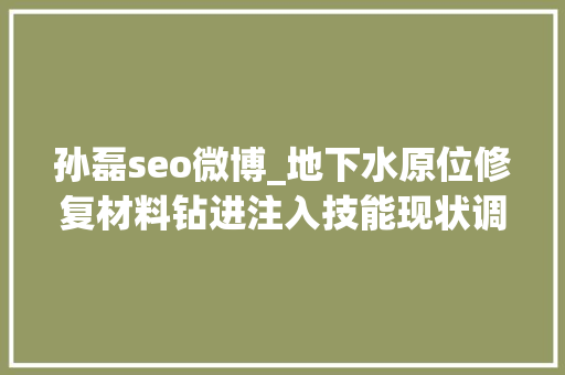 孙磊seo微博_地下水原位修复材料钻进注入技能现状调研 孙磊seo微博_地下水原位修复材料钻进注入技能现状调研 必应SEO