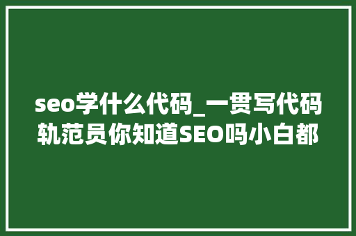 seo学什么代码_一贯写代码轨范员你知道SEO吗小白都要学的关键词排名技能 seo学什么代码_一贯写代码轨范员你知道SEO吗小白都要学的关键词排名技能 网站建设公司