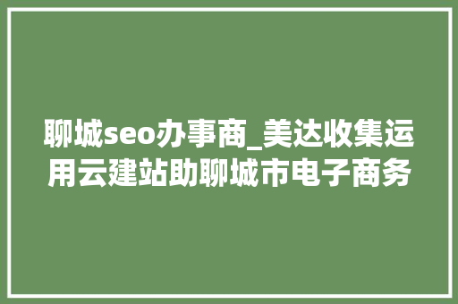 聊城seo办事商_美达收集运用云建站助聊城市电子商务成长