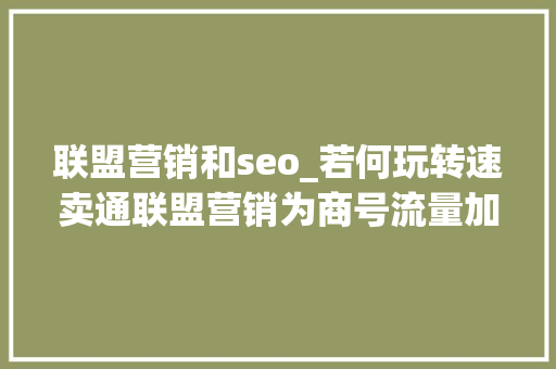 联盟营销和seo_若何玩转速卖通联盟营销为商号流量加权