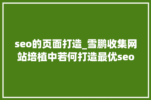 seo的页面打造_雪鹏收集网站培植中若何打造最优seo优化页面 seo的页面打造_雪鹏收集网站培植中若何打造最优seo优化页面 神马SEO