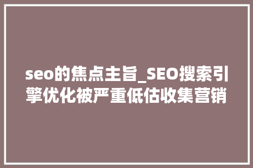 seo的焦点主旨_SEO搜索引擎优化被严重低估收集营销核心技能 seo的焦点主旨_SEO搜索引擎优化被严重低估收集营销核心技能 网站建设公司