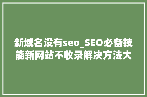 新域名没有seo_SEO必备技能新网站不收录解决方法大年夜全 网站建设公司 新域名没有seo_SEO必备技能新网站不收录解决方法大年夜全 新域名没有seo_SEO必备技能新网站不收录解决方法大年夜全 网站建设公司