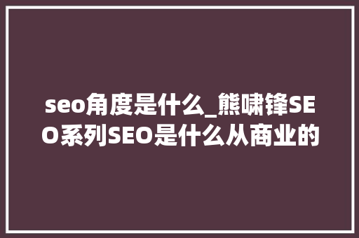 seo角度是什么_熊啸锋SEO系列SEO是什么从商业的角度谈谈SEO那些事