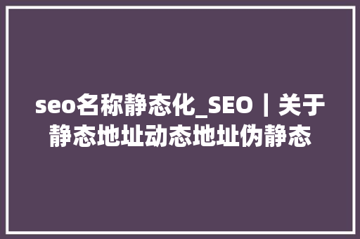 seo名称静态化_SEO｜关于静态地址动态地址伪静态