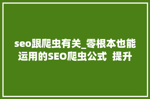 seo跟爬虫有关_零根本也能运用的SEO爬虫公式  提升你的10倍工作效率 seo跟爬虫有关_零根本也能运用的SEO爬虫公式  提升你的10倍工作效率 必应SEO