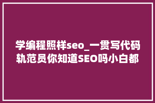 学编程照样seo_一贯写代码轨范员你知道SEO吗小白都要学的关键词排名技能 学编程照样seo_一贯写代码轨范员你知道SEO吗小白都要学的关键词排名技能 SEO关键词