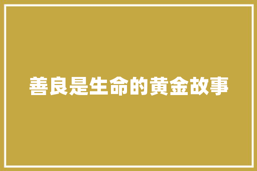 台湾企业站seo_中小型电商的SEO难题网站内容优化根本篇 台湾企业站seo_中小型电商的SEO难题网站内容优化根本篇 SEO关键词