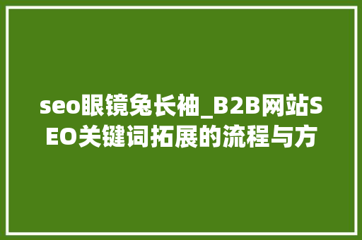 seo眼镜兔长袖_B2B网站SEO关键词拓展的流程与方法
