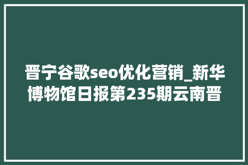 晋宁谷歌seo优化营销_新华博物馆日报第235期云南晋宁古滇国重大年夜考古创造滇国相印封泥出土
