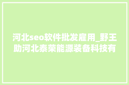 河北seo软件批发雇用_野王助河北泰荣能源装备科技有限公司精准营销