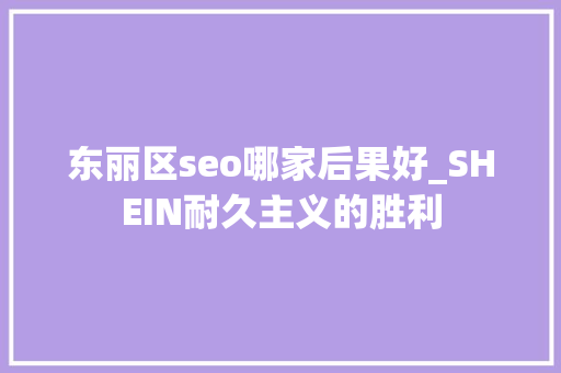 东丽区seo哪家后果好_SHEIN耐久主义的胜利