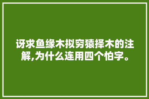 讶求鱼缘木拟穷猿择木的注解,为什么连用四个怕字。