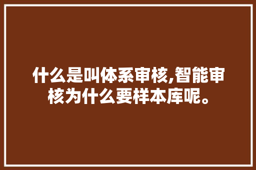 什么是叫体系审核,智能审核为什么要样本库呢。