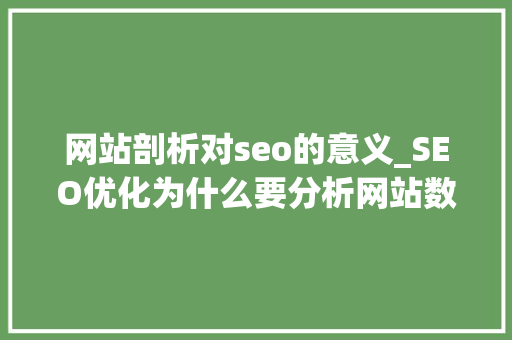 网站剖析对seo的意义_SEO优化为什么要分析网站数据分析数据的目的是什么