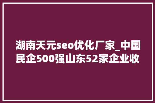 湖南天元seo优化厂家_中国民企500强山东52家企业收集传播影响力谁最强