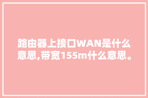 路由器上接口WAN是什么意思,带宽155m什么意思。 路由器上接口WAN是什么意思,带宽155m什么意思。 网站建设公司