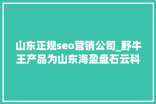 山东正规seo营销公司_野牛王产品为山东海盈盘石云科技有限公司供应的卓越营销做事