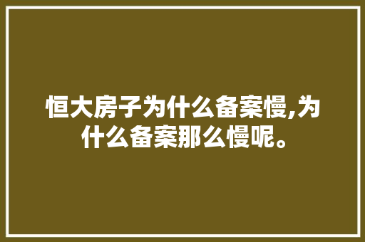 恒大房子为什么备案慢,为什么备案那么慢呢。