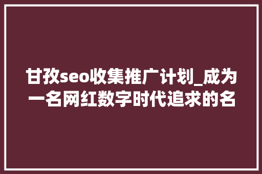 甘孜seo收集推广计划_成为一名网红数字时代追求的名利之路