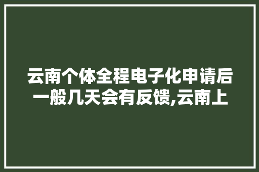 云南个体全程电子化申请后一般几天会有反馈,云南上网为什么要注册账号。