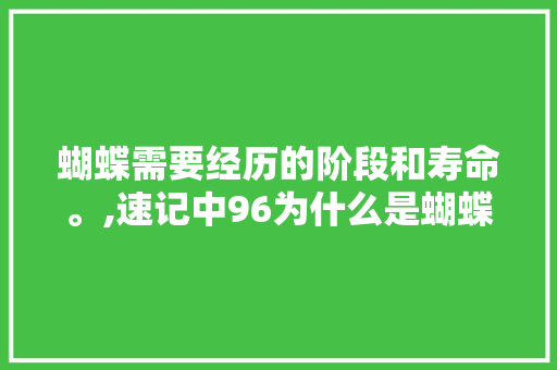 蝴蝶需要经历的阶段和寿命。,速记中96为什么是蝴蝶的意思。 蝴蝶需要经历的阶段和寿命。,速记中96为什么是蝴蝶的意思。 SEO关键词