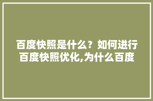 百度快照是什么？如何进行百度快照优化,为什么百度快照取消了。 百度快照是什么？如何进行百度快照优化,为什么百度快照取消了。 网站建设公司