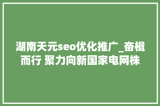 湖南天元seo优化推广_奋楫而行 聚力向新国家电网株洲供电公司燃动引擎全力推进高质量成长