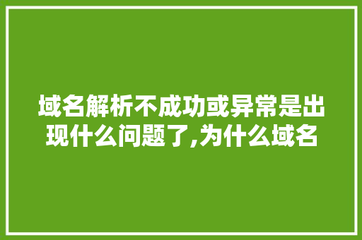 域名解析不成功或异常是出现什么问题了,为什么域名解析不稳定呢。 域名解析不成功或异常是出现什么问题了,为什么域名解析不稳定呢。 SEO关键词