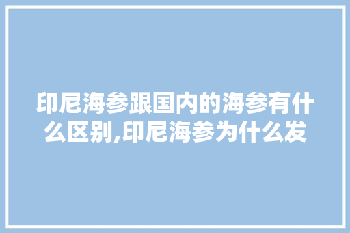 印尼海参跟国内的海参有什么区别,印尼海参为什么发白呢。