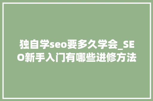 独自学seo要多久学会_SEO新手入门有哪些进修方法 独自学seo要多久学会_SEO新手入门有哪些进修方法 SEO关键词