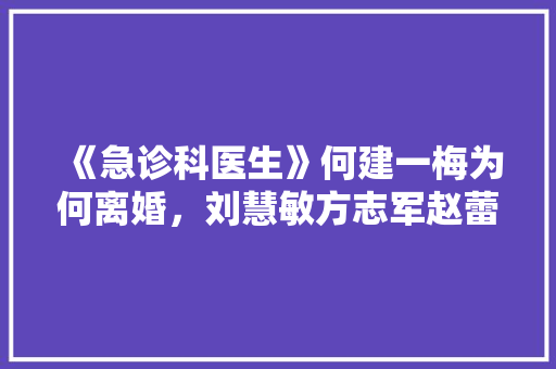 《急诊科医生》何建一梅为何离婚，刘慧敏方志军赵蕾之间发生了什么,小大夫男女主为啥离婚。