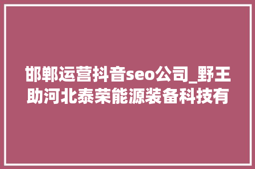 邯郸运营抖音seo公司_野王助河北泰荣能源装备科技有限公司精准营销