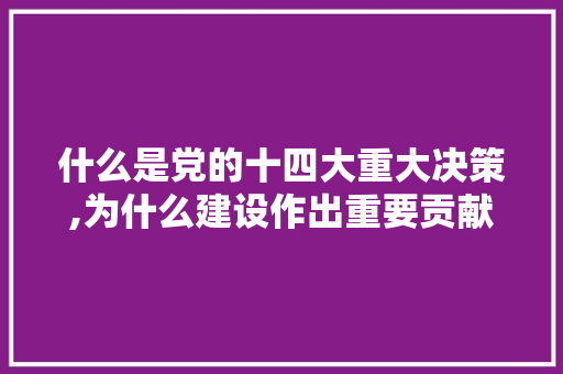 什么是党的十四大重大决策,为什么建设作出重要贡献。 什么是党的十四大重大决策,为什么建设作出重要贡献。 搜狗SEO