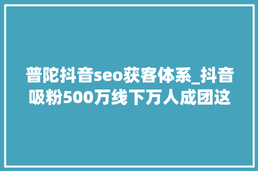 普陀抖音seo获客体系_抖音吸粉500万线下万人成团这届导游在玩一种很新的不雅光社 网站建设公司