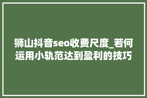 狮山抖音seo收费尺度_若何运用小轨范达到盈利的技巧