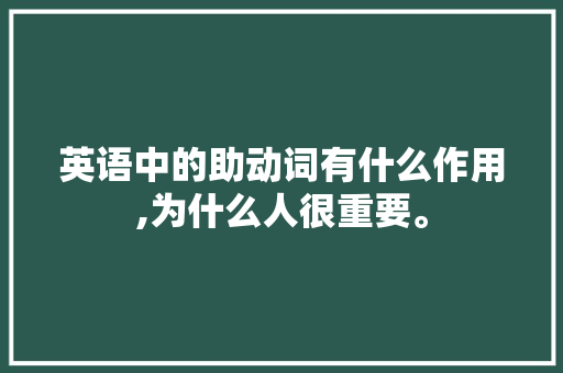 英语中的助动词有什么作用,为什么人很重要。