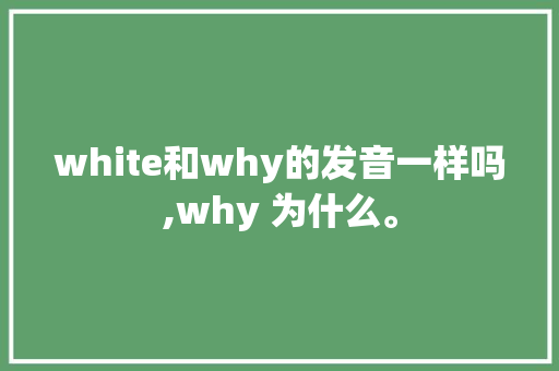 white和why的发音一样吗,why 为什么。